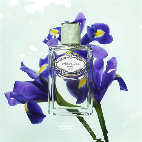 prada d iris eau de toilette|Prada infusion d'iris sephora.